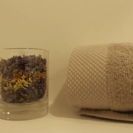 Crabhouse בית הארחה